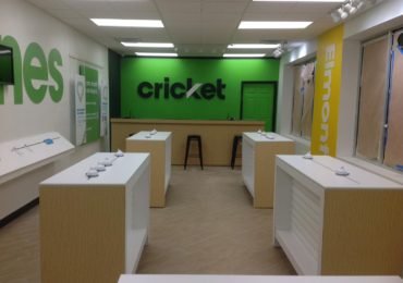Cricket