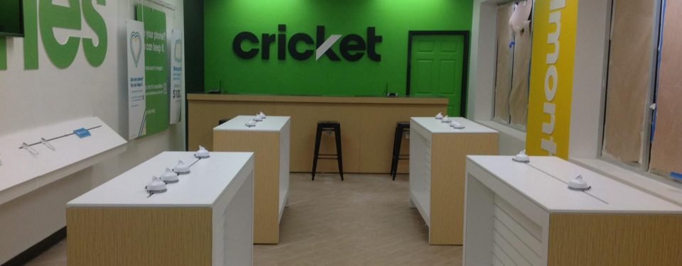 Cricket