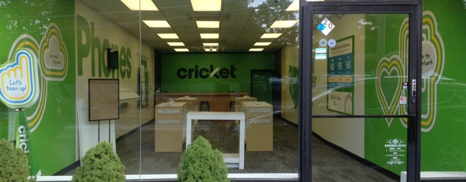 Cricket