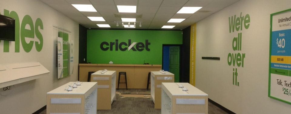 Cricket