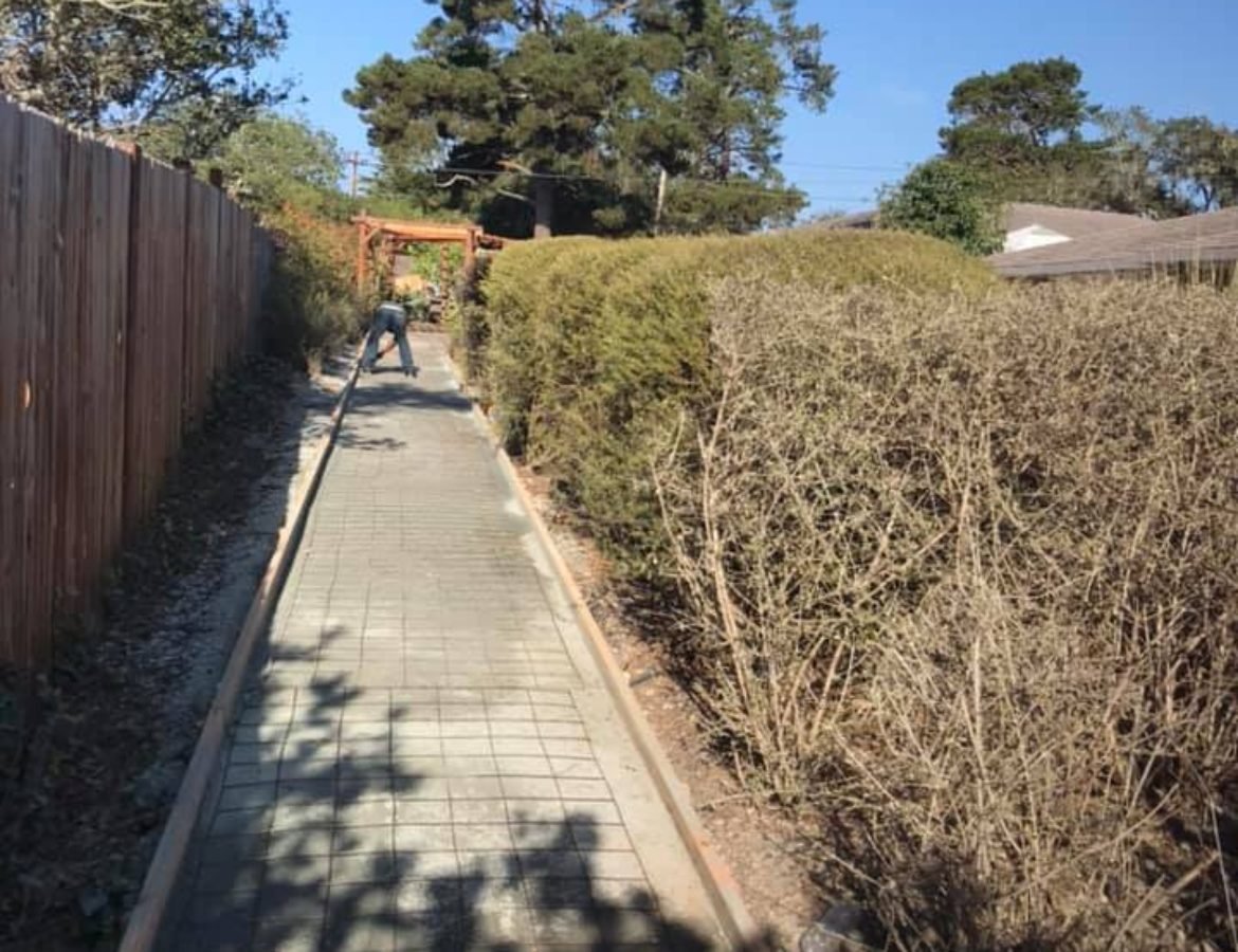 landscape project